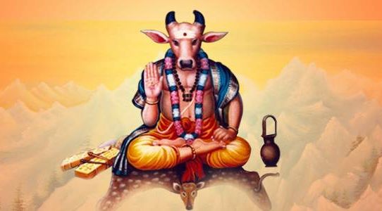 Lord Shiva and Nandi - Sacred Himalayan Institute of Vedic Alliance